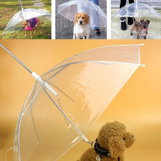 Pet Umbrella