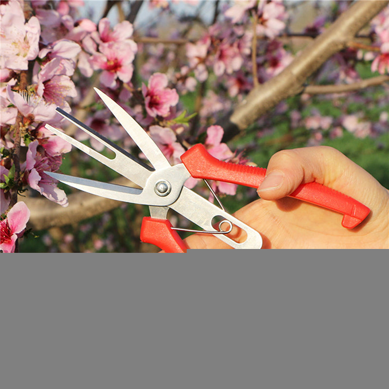 Plant Pruner Scissors