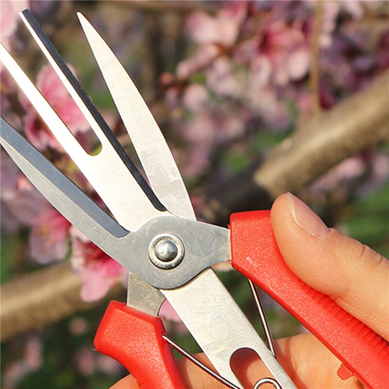 Plant Pruner Scissors