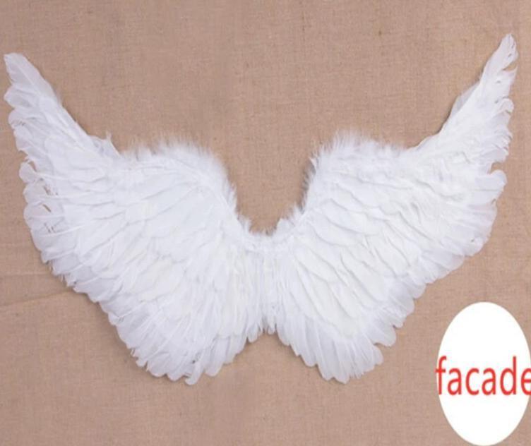 Angel Wings For Pets