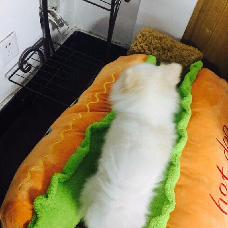 Hot Dog Bed House