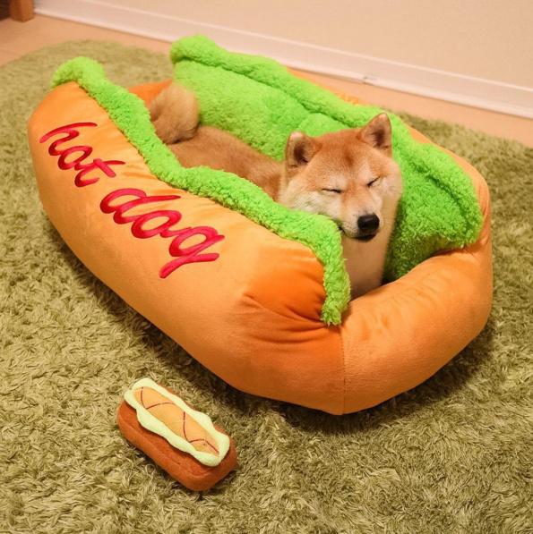 Hot Dog Bed House