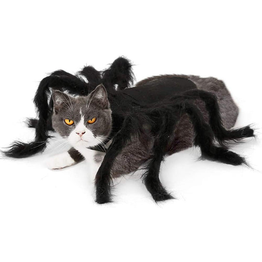 Halloween Spider Clothes For Pets