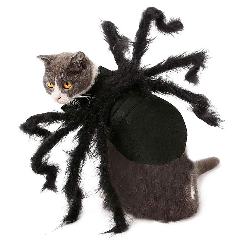 Halloween Spider Clothes For Pets