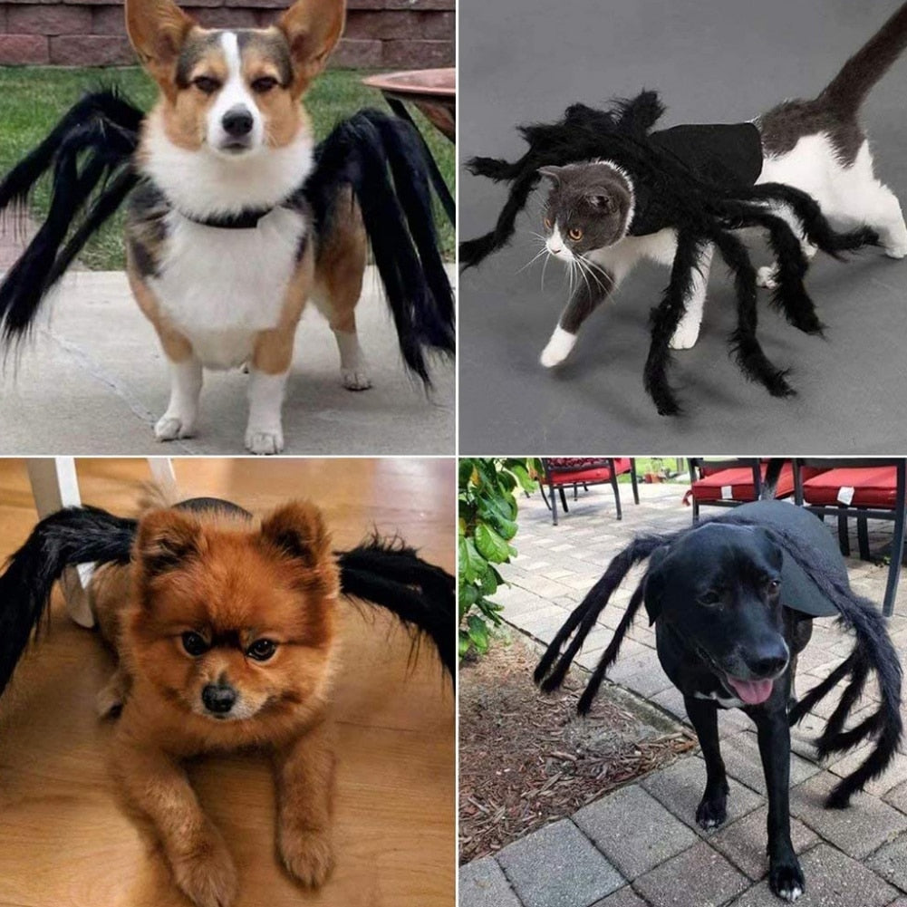 Halloween Spider Clothes For Pets