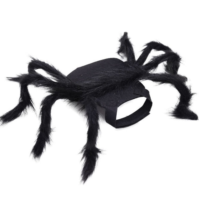 Halloween Spider Clothes For Pets